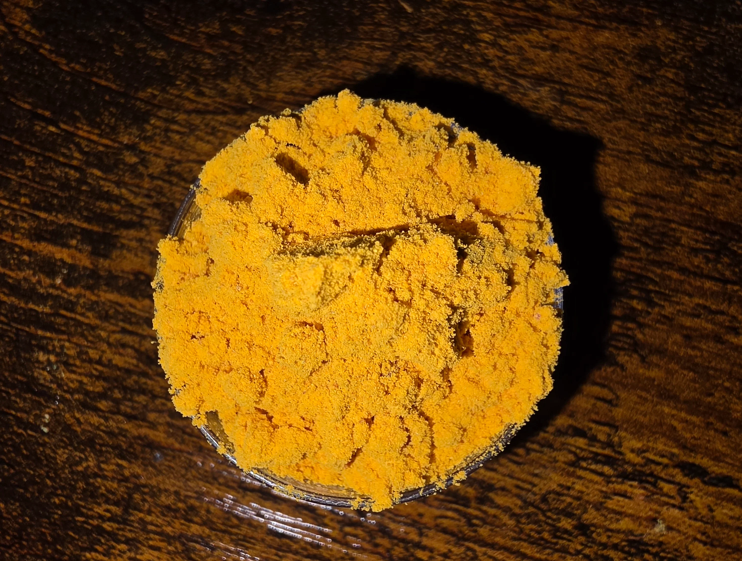 82.6% 7OH / 8.73 % Pseudo Total Alkaloids 91.4 ( NEW) - Image 3
